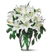Perfect White Lilies