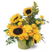 A Pot of Sunflowers
