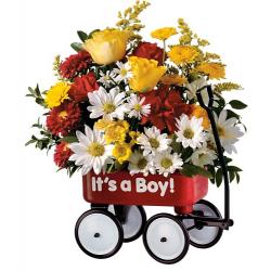 Baby's First Wagon - Boy