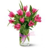 Spring Tulips - Hot Pink